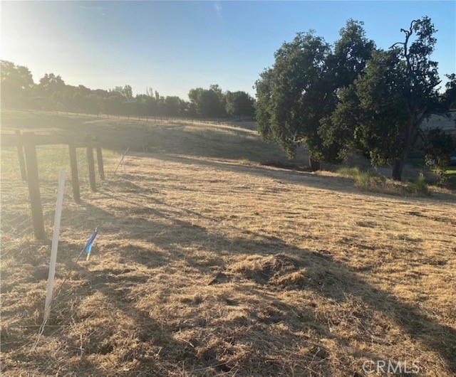 MLS #NS25116594 image #6