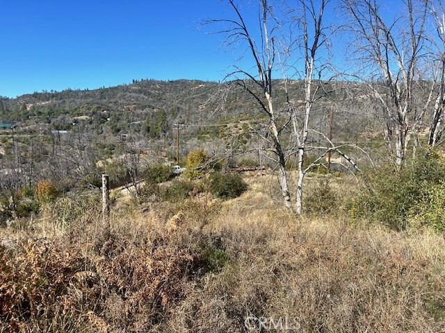 Detail Gallery Image 19 of 39 For 0 Craig Access, Feather Falls,  CA 95940 - – Beds | – Baths