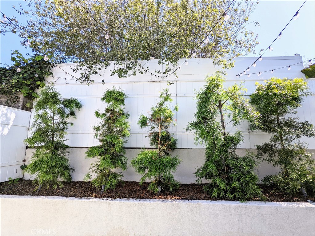 MLS #IV25047990 img 44