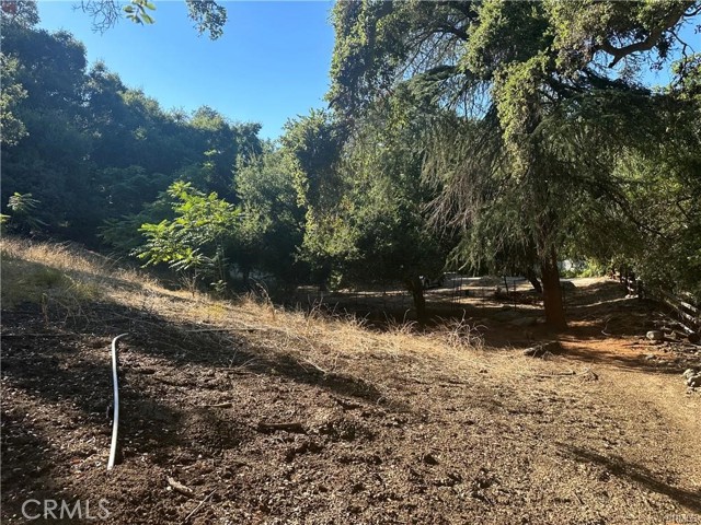 Detail Gallery Image 6 of 7 For 0 Paradise Lane, Topanga,  CA 90290 - – Beds | – Baths