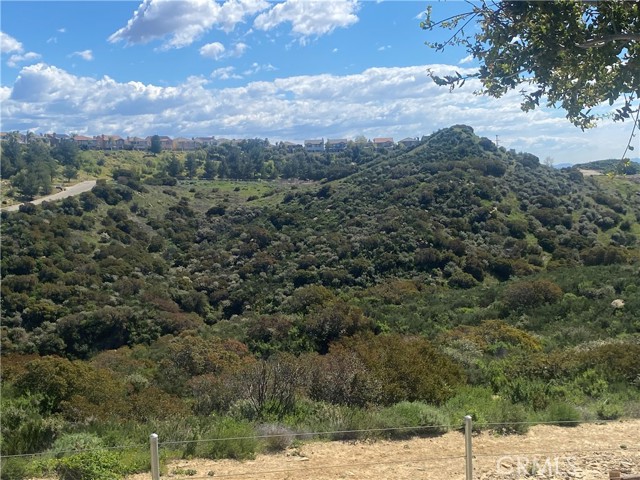 Front Image Thumbnail for CRSR26016320