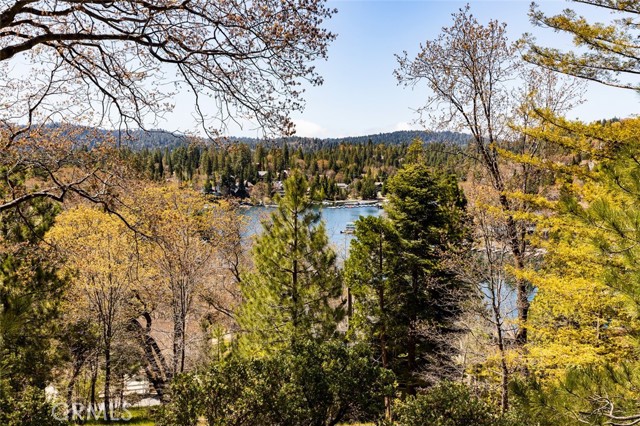 Detail Gallery Image 7 of 34 For 27687 N Bay Rd, Lake Arrowhead,  CA 92352 - 4 Beds | 4 Baths
