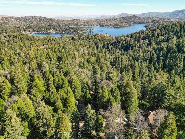 Detail Gallery Image 43 of 45 For 717 Crest Estates, Lake Arrowhead,  CA 92352 - 3 Beds | 3 Baths