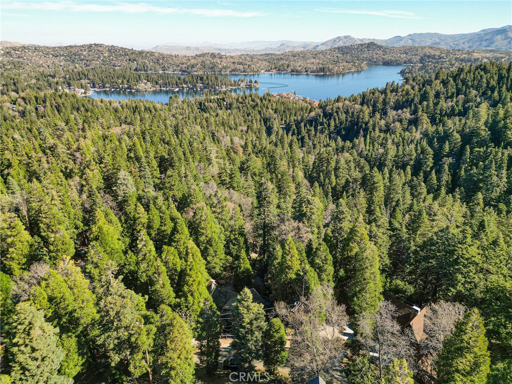 https://media.crmls.org/medias/14ed49ec-2d86-494b-889d-3965a795404f.jpg?preset=X-Large