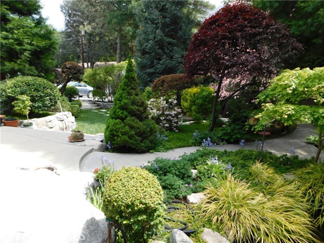 36976 SYCAMORE Drive, Mountain Home Village CA: https://media.crmls.org/medias/14ed8dfd-b2be-4c51-a092-76439091e1a4.jpg