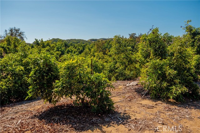 Detail Gallery Image 7 of 12 For 15 Camaron Rd, Temecula,  CA 92590 - – Beds | – Baths