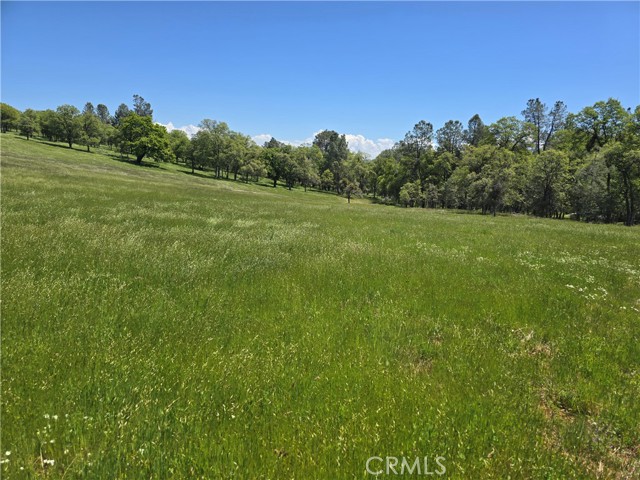 Detail Gallery Image 58 of 75 For 5963 Schilling Road, Coulterville,  CA 95311 - 3 Beds | 3 Baths
