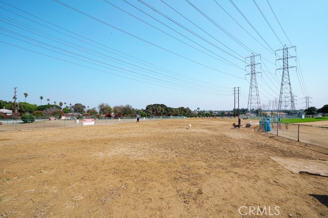 Massive massive dog park!! across the street.