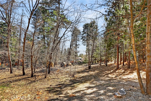 Detail Gallery Image 17 of 23 For 0 Cepu Rd, Running Springs,  CA 92382 - – Beds | – Baths