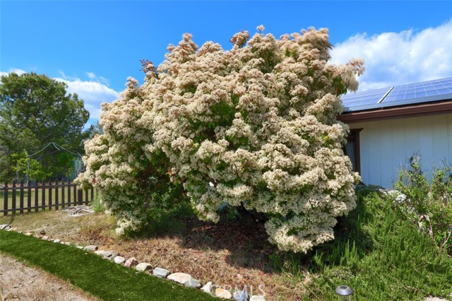 Detail Gallery Image 75 of 75 For 44800 Ahwahnee Acres Rd, Ahwahnee,  CA 93601 - 4 Beds | 2 Baths