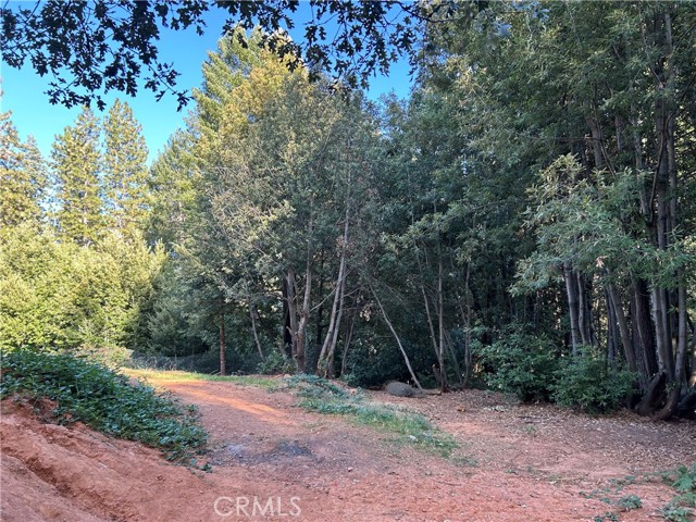 16116 Lovelock Road, Magalia CA: https://media.crmls.org/medias/1505a422-bf55-45a4-a235-a249957ad378.jpg