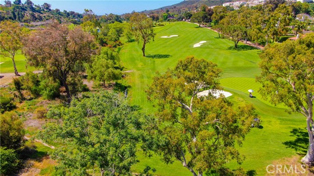 Detail Gallery Image 62 of 74 For 30421 Mirador Ct, Laguna Niguel,  CA 92677 - 4 Beds | 3/1 Baths