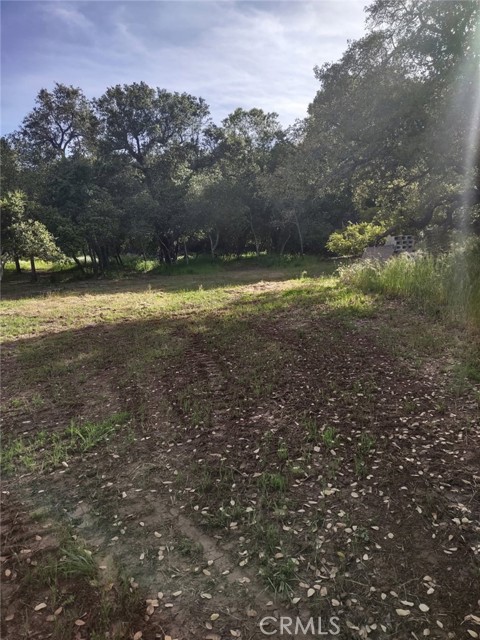 0 Avenida Perla Bonita, Murrieta CA: https://media.crmls.org/medias/150708c5-c641-4cb3-a4d7-20df073fc9ff.jpg