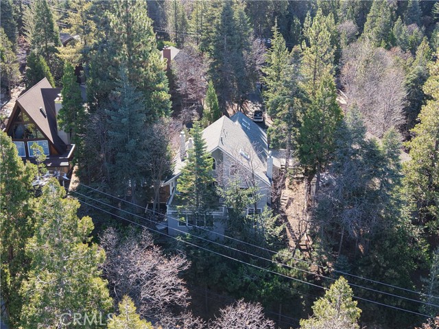 Detail Gallery Image 66 of 72 For 174 Golf Course Rd, Lake Arrowhead,  CA 92352 - 4 Beds | 3/1 Baths