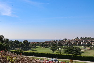 golf course and Ocean View!