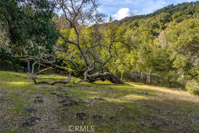 Detail Gallery Image 10 of 12 For 0 Lot 12 Morro Rd., Atascadero,  CA 93422 - – Beds | – Baths