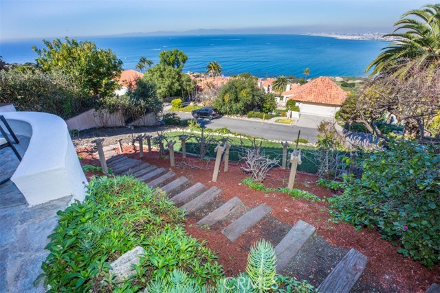 Backyard with grape-vine yard