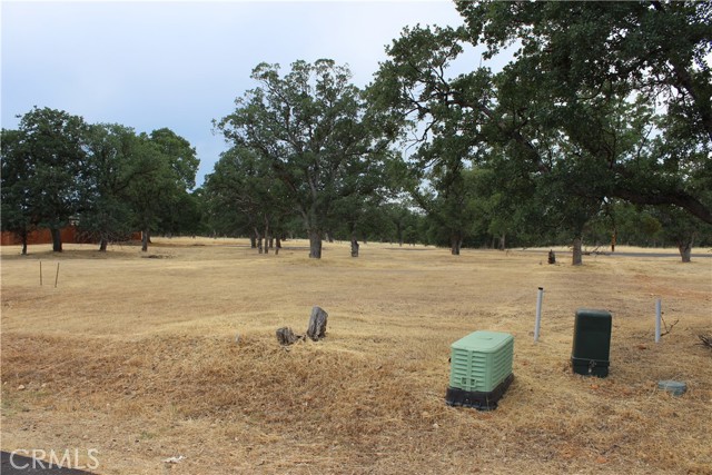 19183 Querido Street, Cottonwood, California 96022, ,Land,For Sale,19183 Querido Street,CRSN23155938