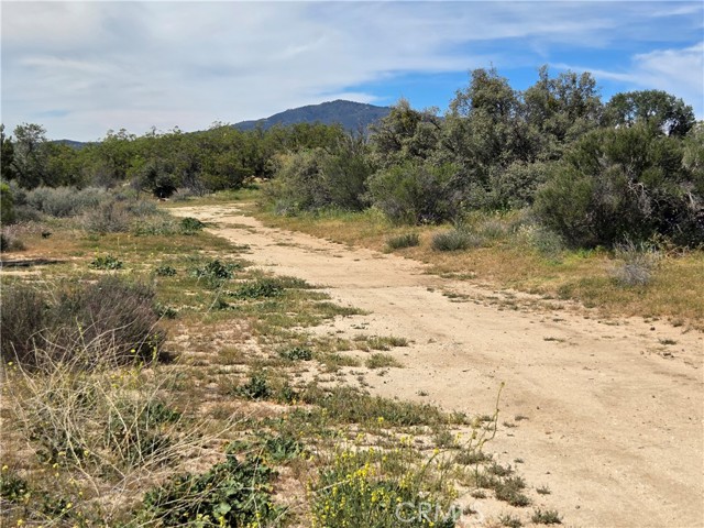 Detail Gallery Image 3 of 6 For 4 Fletcher, Anza,  CA 92539 - – Beds | – Baths
