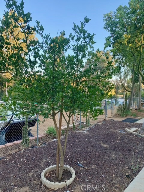 28480 Red Gum Drive, Lake Elsinore CA: https://media.crmls.org/medias/15194ba4-e3ab-4515-a586-2dd24aa01152.jpg