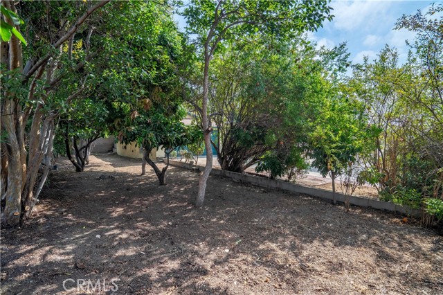 10907 Danielson Drive, South El Monte CA: https://media.crmls.org/medias/151ed331-71b7-422a-8576-d1dfcceb19d9.jpg