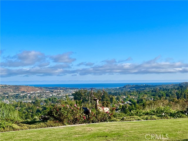 Detail Gallery Image 62 of 75 For 31541 Peppertree Bend, San Juan Capistrano,  CA 92675 - 7 Beds | 8/2 Baths