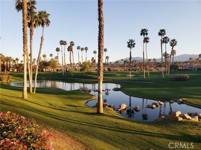 Detail Gallery Image 1 of 43 For 38453 Nasturtium Way, Palm Desert,  CA 92211 - 3 Beds | 2/1 Baths