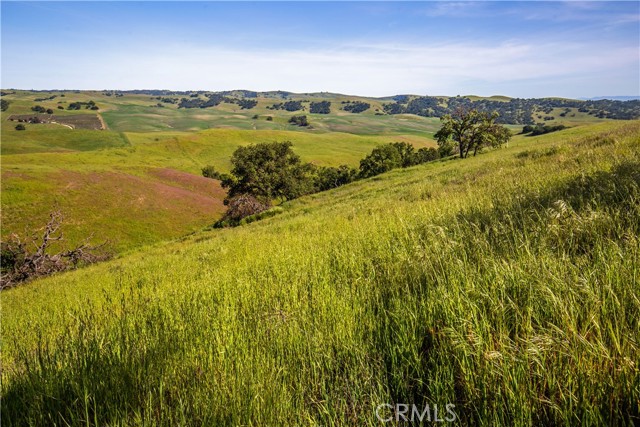 Detail Gallery Image 12 of 29 For 77505 Reinert Rd, San Miguel,  CA 93451 - – Beds | – Baths