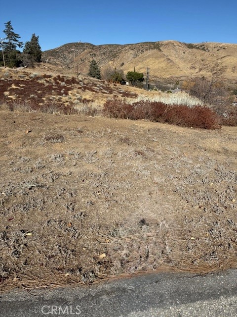 MLS #SR24250438 image #4