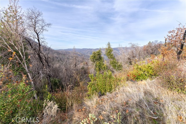 2231 Lumpkin Road, Oroville, California 95966, ,Land,For Sale,2231 Lumpkin Road,CRSN23227176