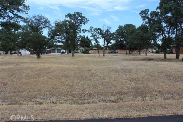 19183 Querido Street, Cottonwood, California 96022, ,Land,For Sale,19183 Querido Street,CRSN23155938