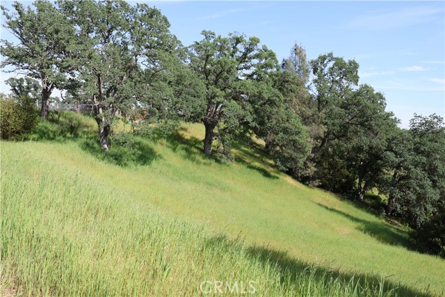 Detail Gallery Image 2 of 10 For 7325 Bluebird Rd., Corning,  CA 96021 - – Beds | – Baths