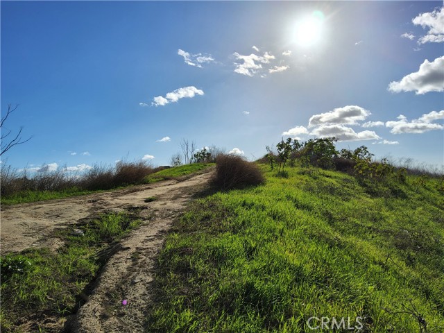 2931 Thomas Street, Los Angeles, California 90031, ,Land,For Sale,2931 Thomas Street,CRPW24023934