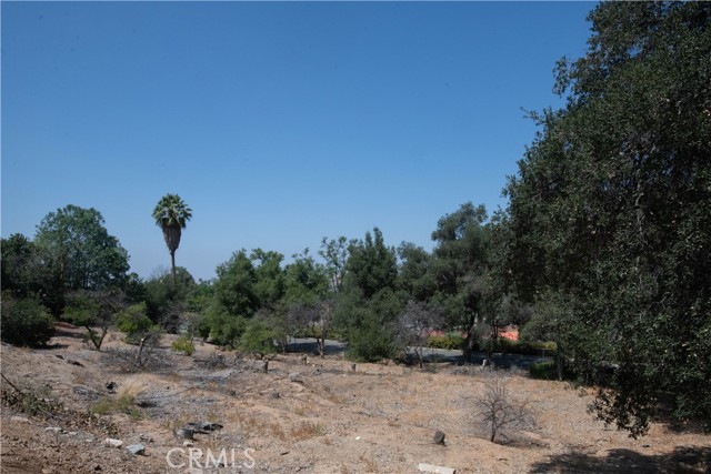 2475 Sunset Drive, Riverside CA: https://media.crmls.org/medias/155067b8-2881-49ad-a173-0981d9a696e1.jpg