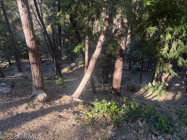 Detail Gallery Image 7 of 7 For 0 Valle, Crestline,  CA 92325 - – Beds | – Baths