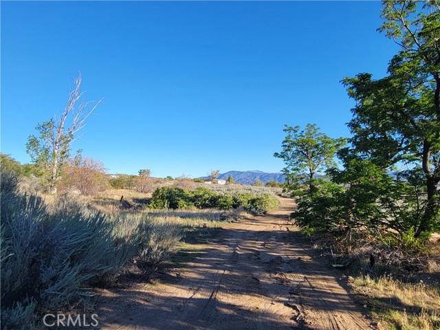 Detail Gallery Image 27 of 46 For 44451 Jay Dr, Anza,  CA 92539 - 3 Beds | 2 Baths