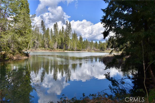 Detail Gallery Image 38 of 52 For 0 Toyon Trl, Berry Creek,  CA 95916 - – Beds | – Baths