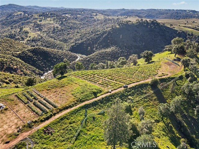 Image 26 of 36 For 3029 Freshwater