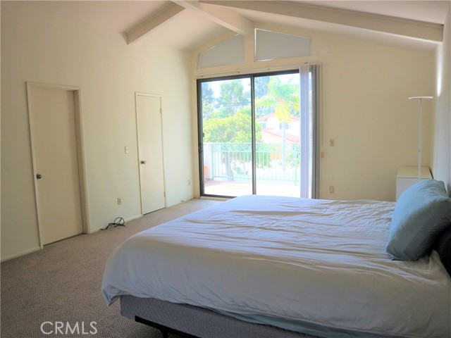 Master suite with walk-in closet