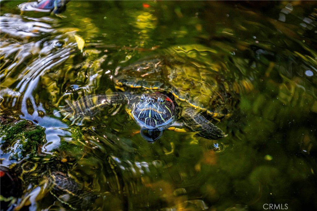 https://media.crmls.org/medias/156b1c7d-df6d-4f86-886f-71921d6dc5f2.jpg?preset=X-Large