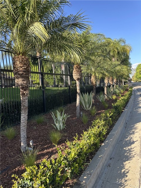 Image 5 of 66 For 959 Rodeo  