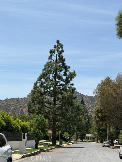 22231 Romar Street photo 41