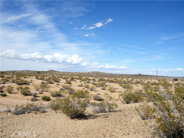 Image 16 of 21 For 0 Belmont Street