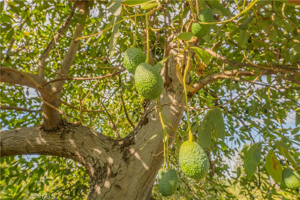 https://media.crmls.org/medias/158d0183-d2e5-4a91-b3b2-33470a8a7ee4.jpg?preset=X-Large