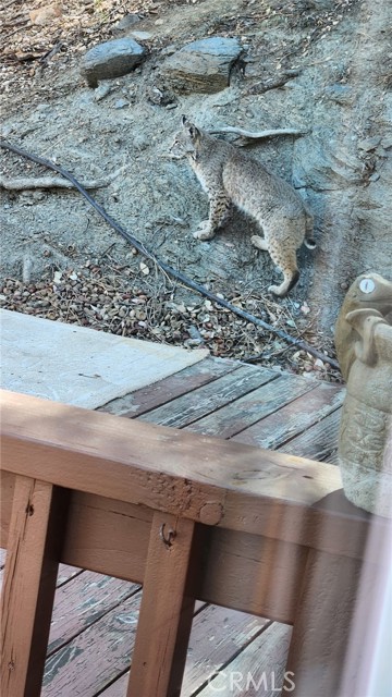 Detail Gallery Image 45 of 57 For 5180 Lone Pine Canyon, Wrightwood,  CA 92397 - 4 Beds | 2 Baths