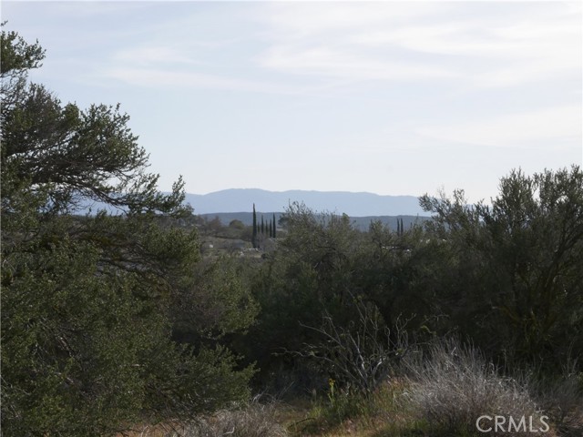 0 Hwy 371, Anza, California 92539, ,Land,For Sale,0 Hwy 371,CRSW23054275