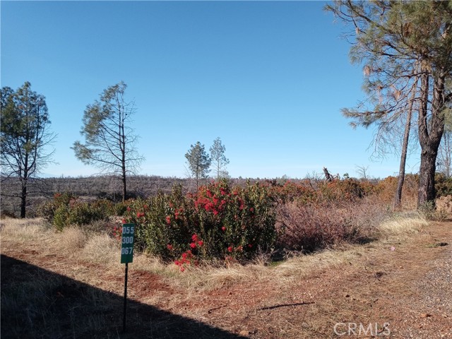 0 Pentz Road, Paradise, California 95969, ,Land,For Sale,0 Pentz Road,CRSN22248956