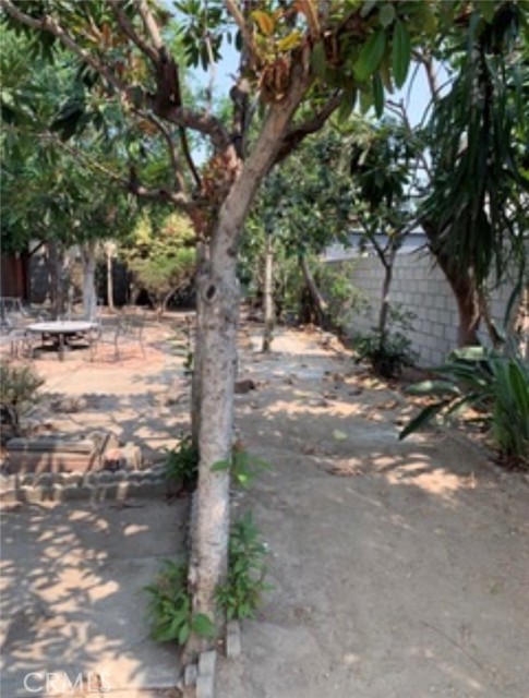 Detail Gallery Image 41 of 42 For 1228 S Catalina St, Los Angeles,  CA 90006 - – Beds | – Baths