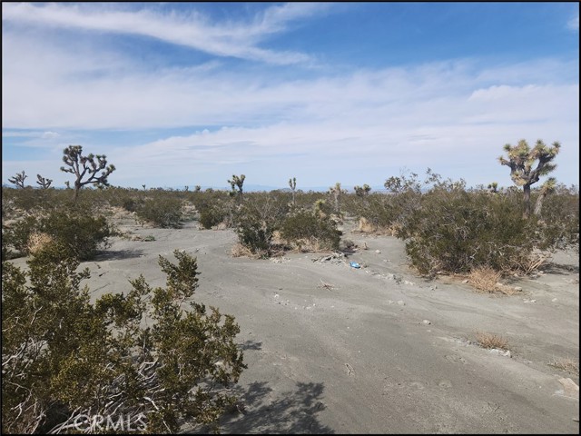 Detail Gallery Image 8 of 11 For 0 Duncan Rd, Pinon Hills,  CA 92372 - – Beds | – Baths