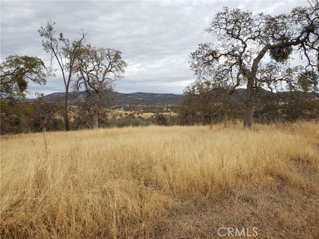 Detail Gallery Image 3 of 12 For 5725 Enramada, La Grange,  CA 95329 - – Beds | – Baths